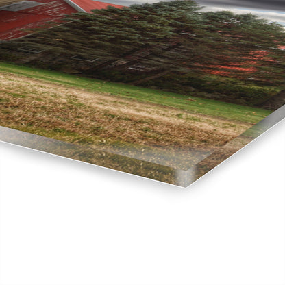 U R There Photography Laur Road Red Among the Pines II Rustic Farmhouse Acrylic Wall Print