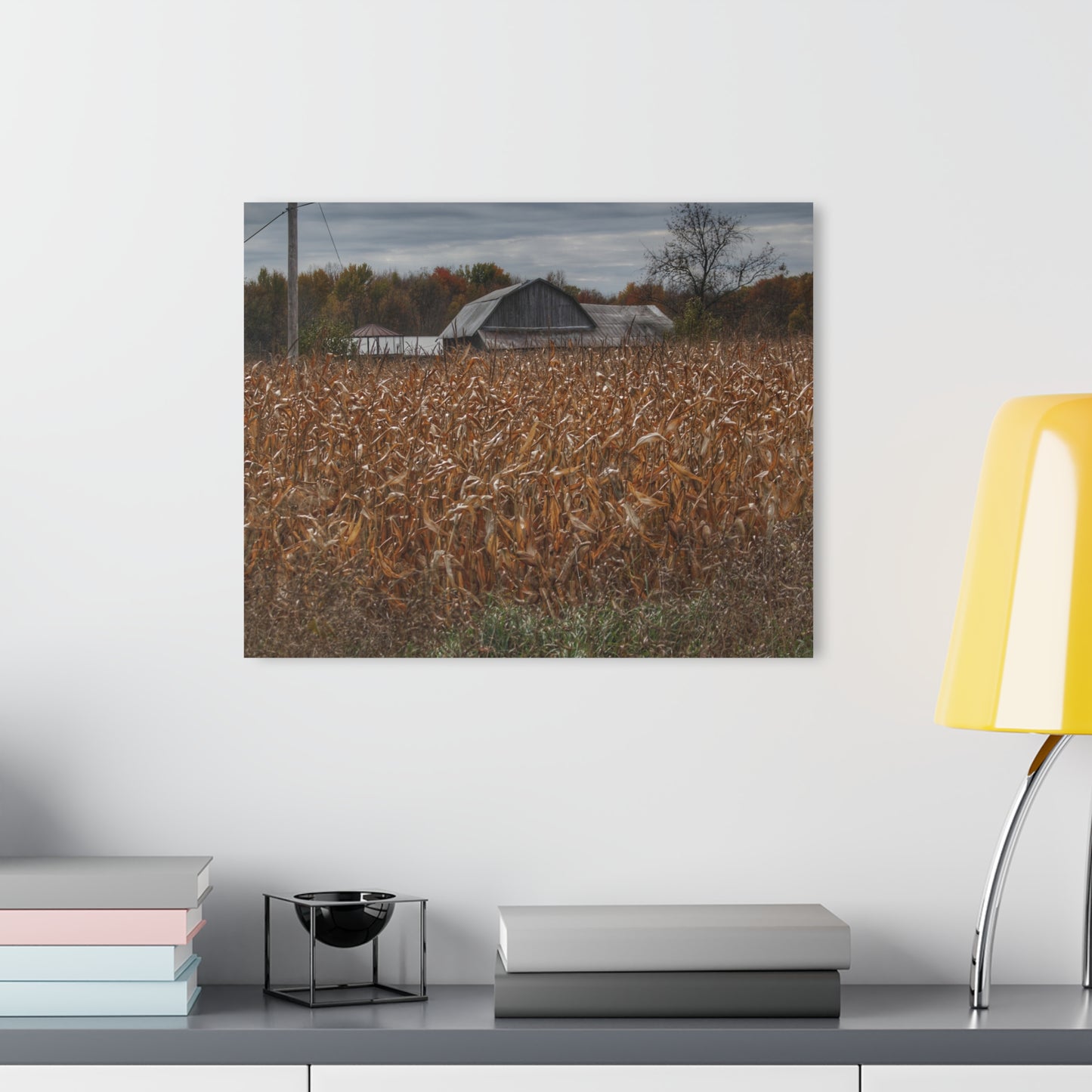 U R There Photography North State Road Grey Rustic Farmhouse Acrylic Wall Print