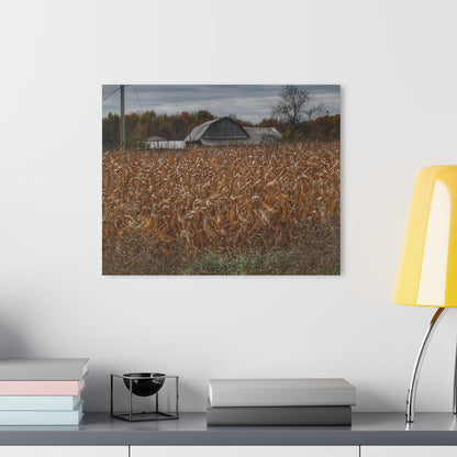 U R There Photography North State Road Grey Rustic Farmhouse Acrylic Wall Print