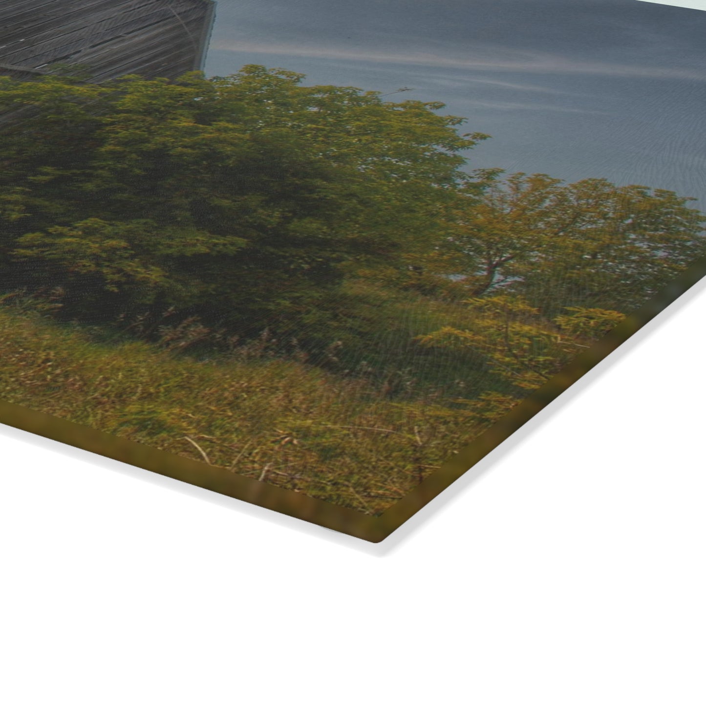 U R There Photography Cat Lake Grey I Rustic Farmhouse Tempered-Glass Cutting Board