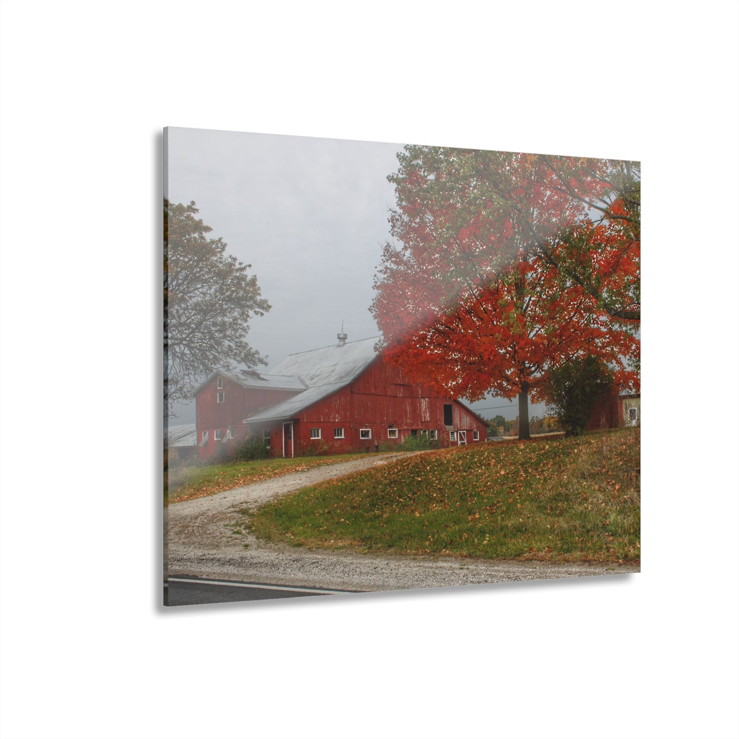 U R There Photography Goodrich Baldwin Road Reds II Rustic Farmhouse Acrylic Wall Print