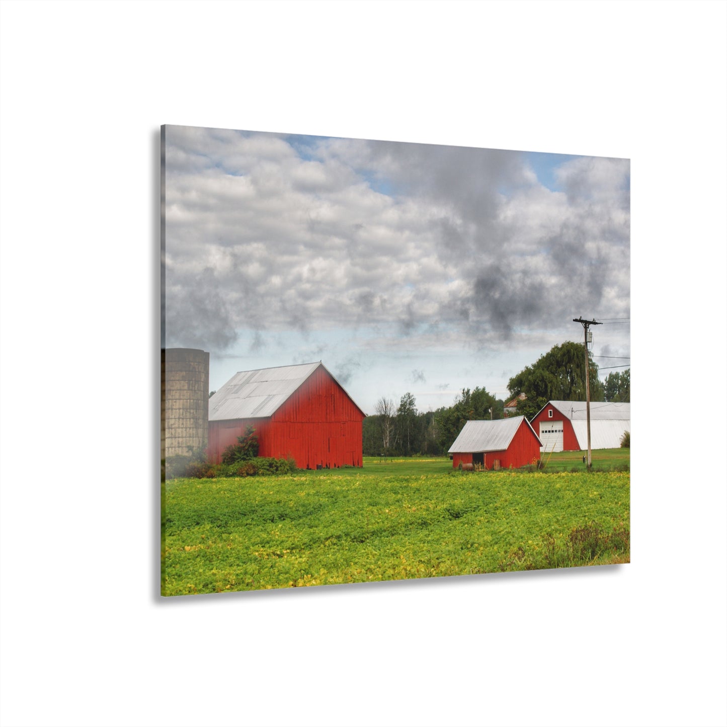 U R There Photography Kingston Road Trio II Rustic Farmhouse Acrylic Wall Print