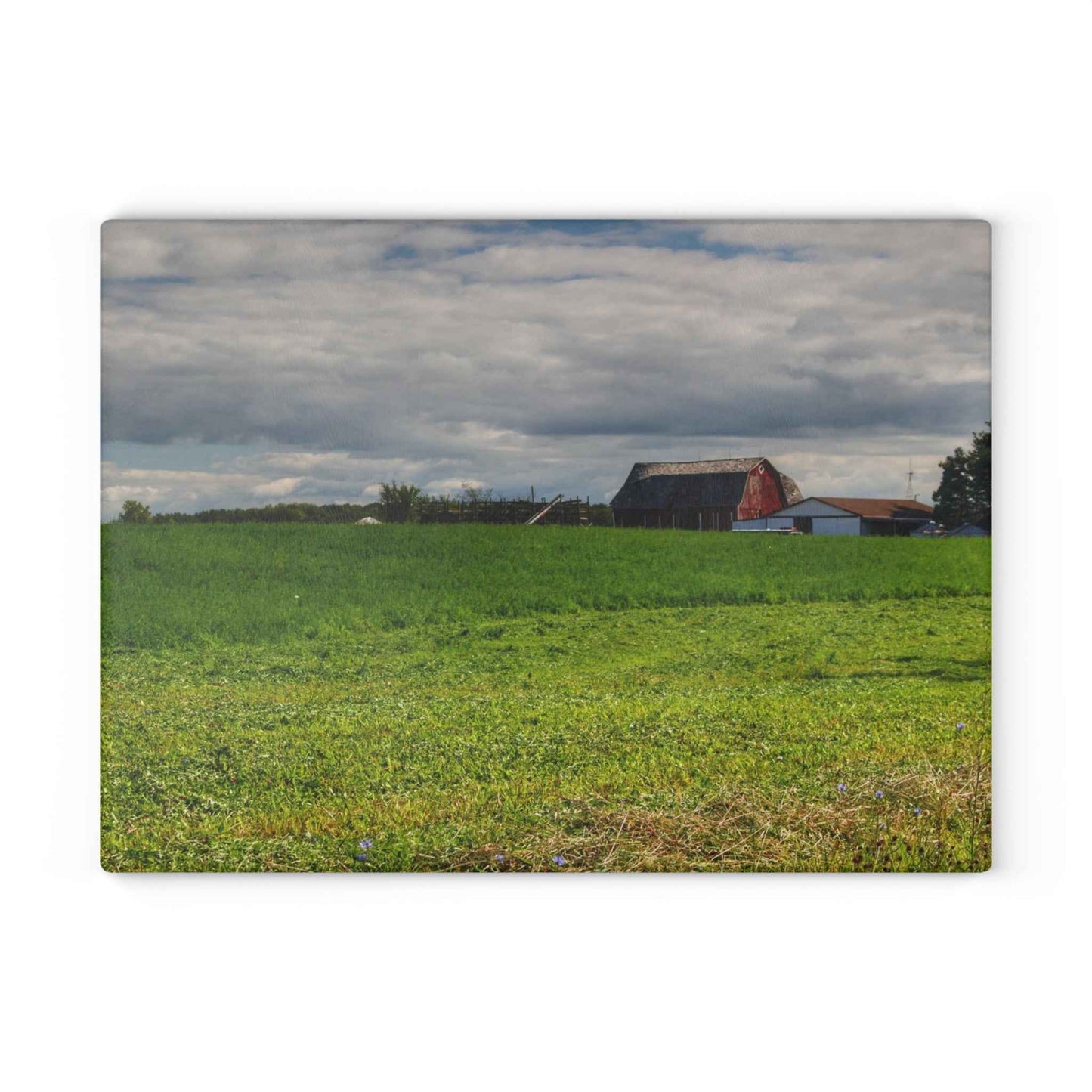 Rustic Farmhouse Cutting Board| Across the Field in Kingston