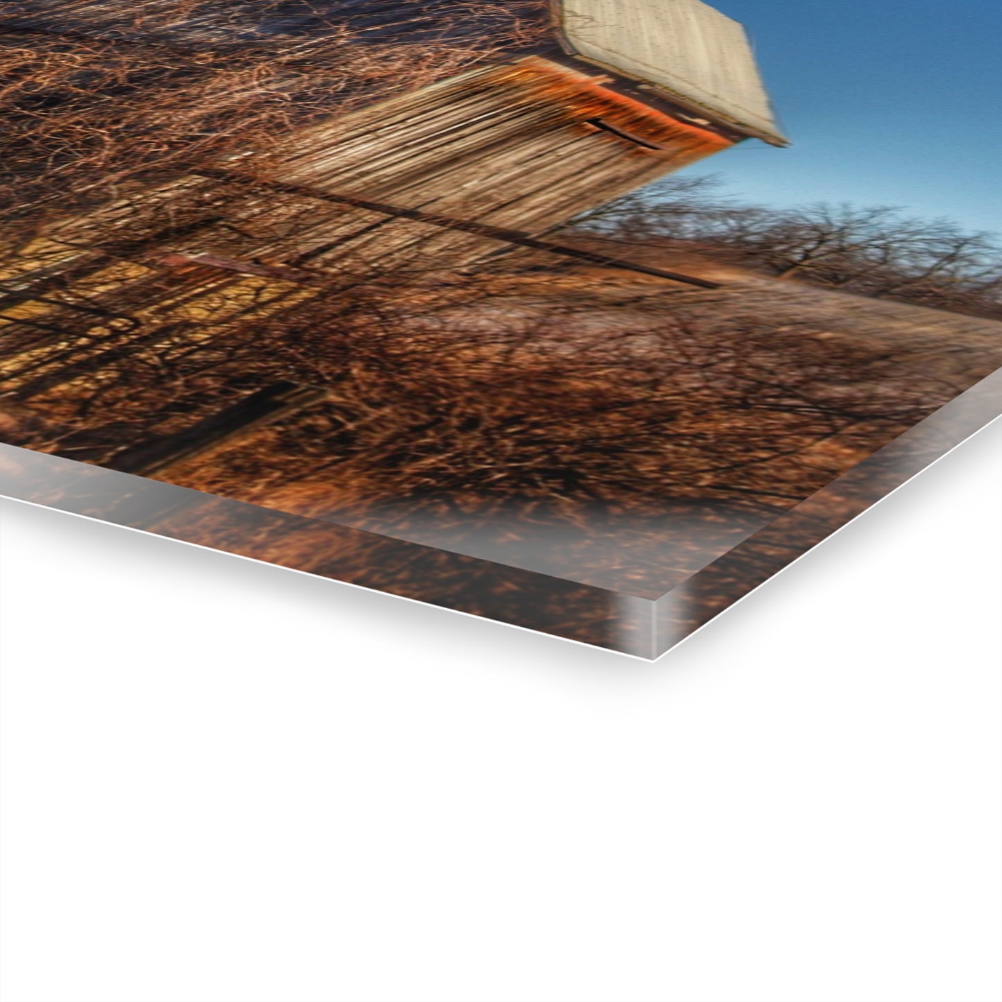 U R There Photography Newark Road Brown Beauty Rustic Farmhouse Acrylic Wall Print