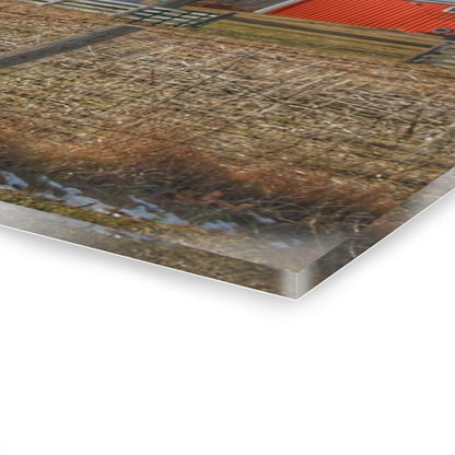 U R There Photography Clifford Road Red II Rustic Farmhouse Acrylic Wall Print