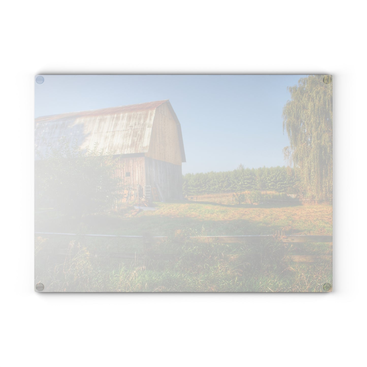 U R There Photography Snover Golden Grey Rustic Farmhouse Tempered-Glass Cutting Board
