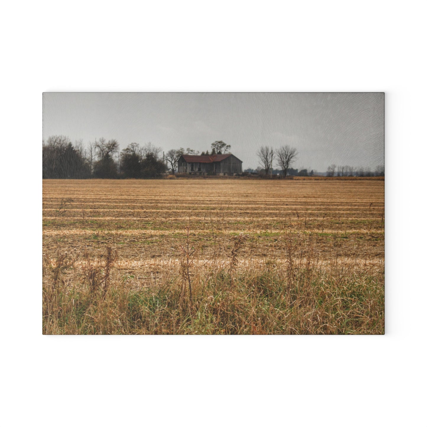 U R There Photography Freiberger Road Grey Across the Field Rustic Farmhouse Tempered-Glass Cutting Board