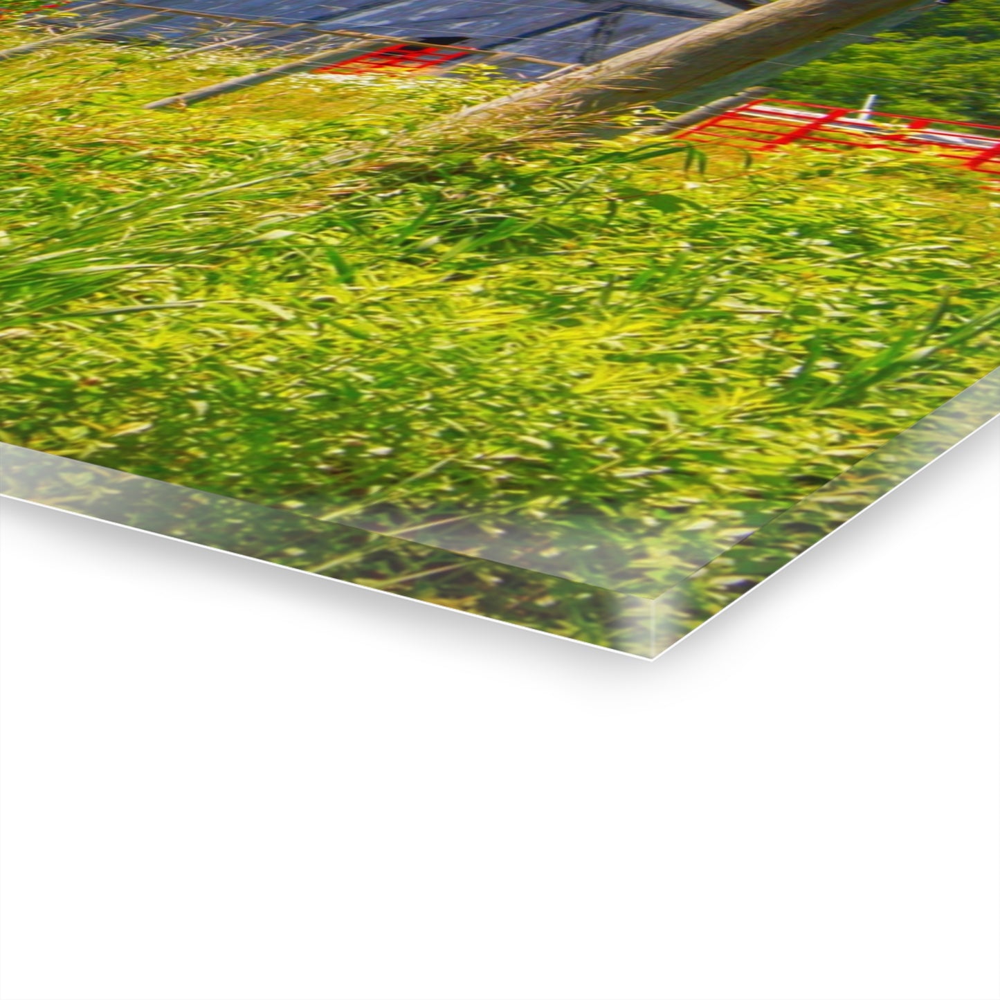 U R There Photography Greenwood Road Whitewash Grey Rustic Farmhouse Acrylic Wall Print