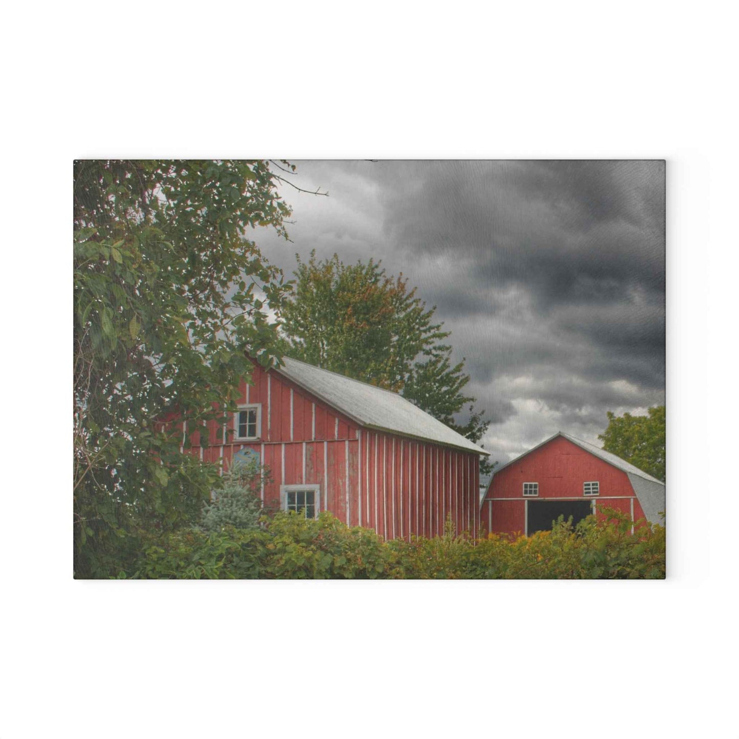 U R There Photography Pinstripe Barn and Buddy I Rustic Farmhouse Tempered-Glass Cutting Board