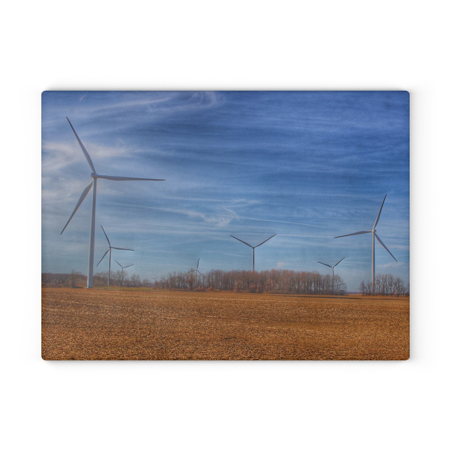 U R There Photography Windmill Alley Rustic Farmhouse Tempered-Glass Cutting Board
