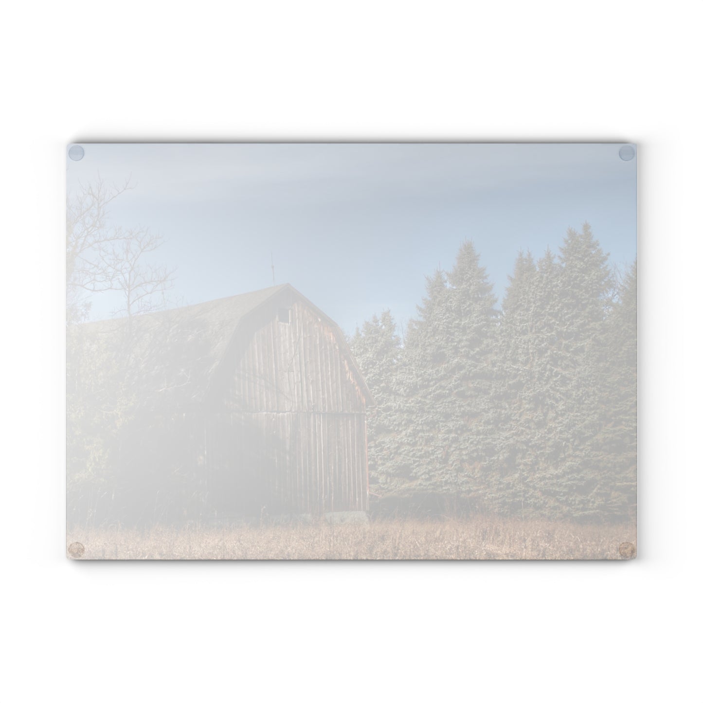 U R There Photography Washburn Old Grey Rustic Farmhouse Tempered-Glass Cutting Board