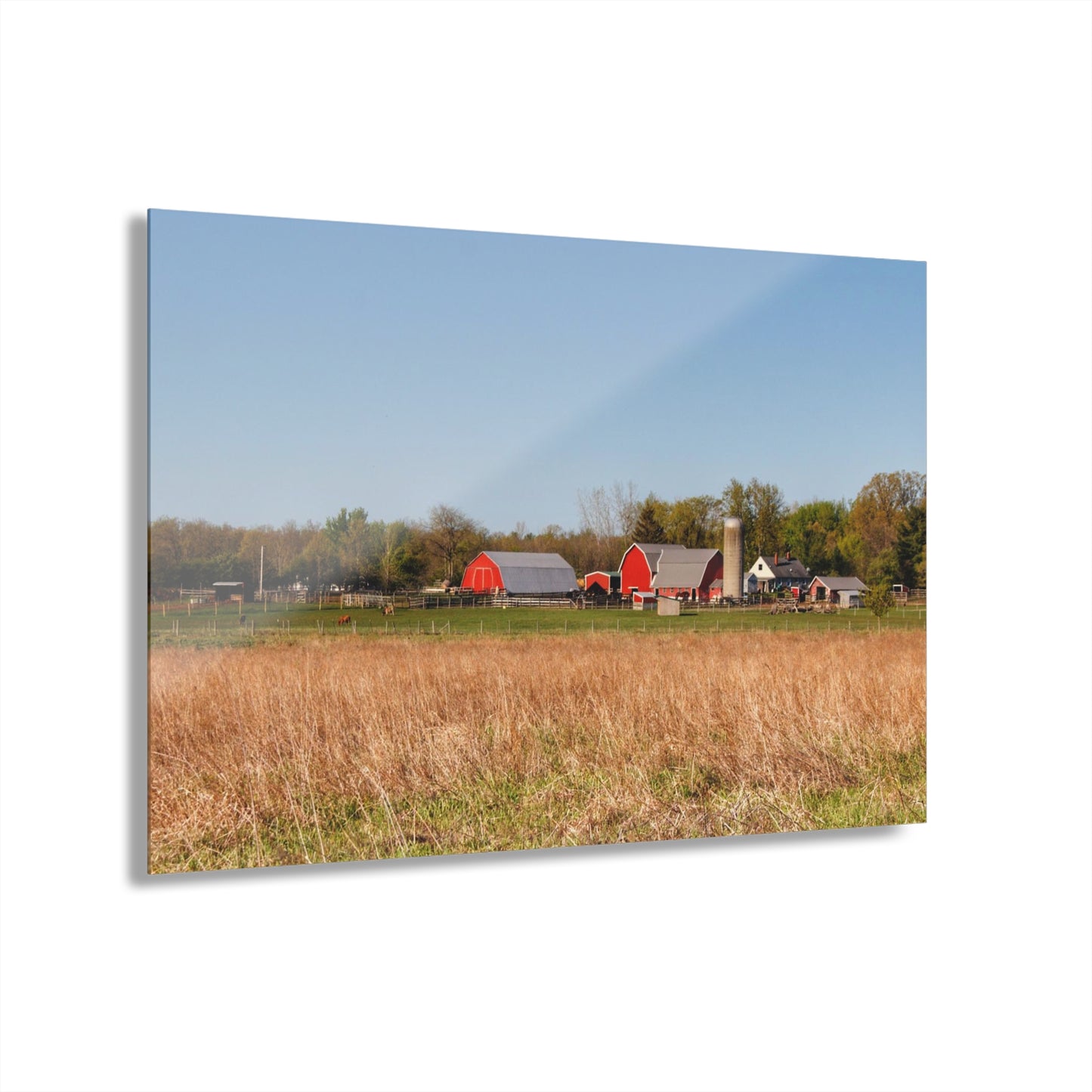 U R There Photography East Millington Road Farm Rustic Farmhouse Acrylic Wall Print