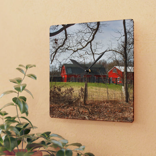 U R There Photography Hidden Hosner Reds Rustic Farmhouse Acrylic Analog Wall Clock