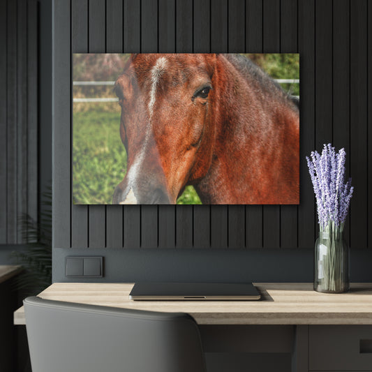 U R There Photography Irish Road Brownie Rustic Farmhouse Acrylic Wall Print 36" x 24" (Horizontal) 0.25''