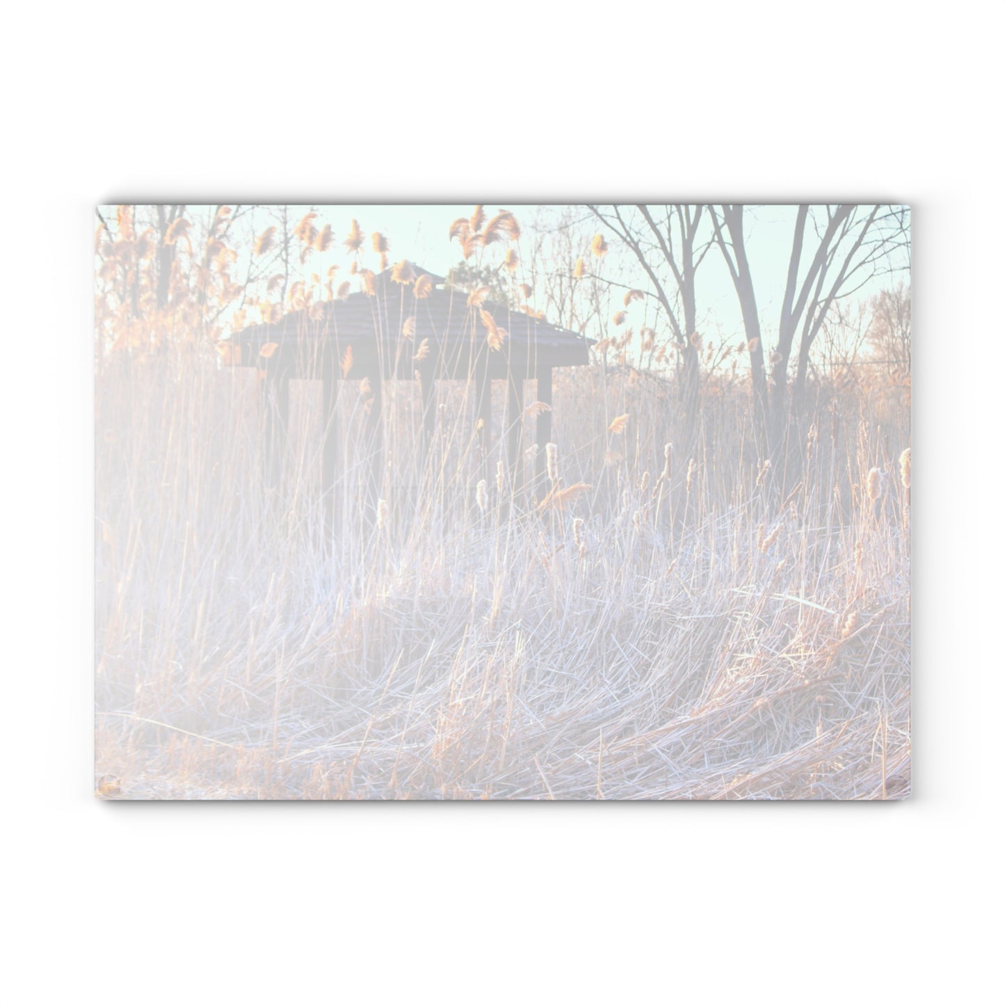 U R There Photography Haines Hidden Gazebo Rustic Farmhouse Tempered-Glass Cutting Board