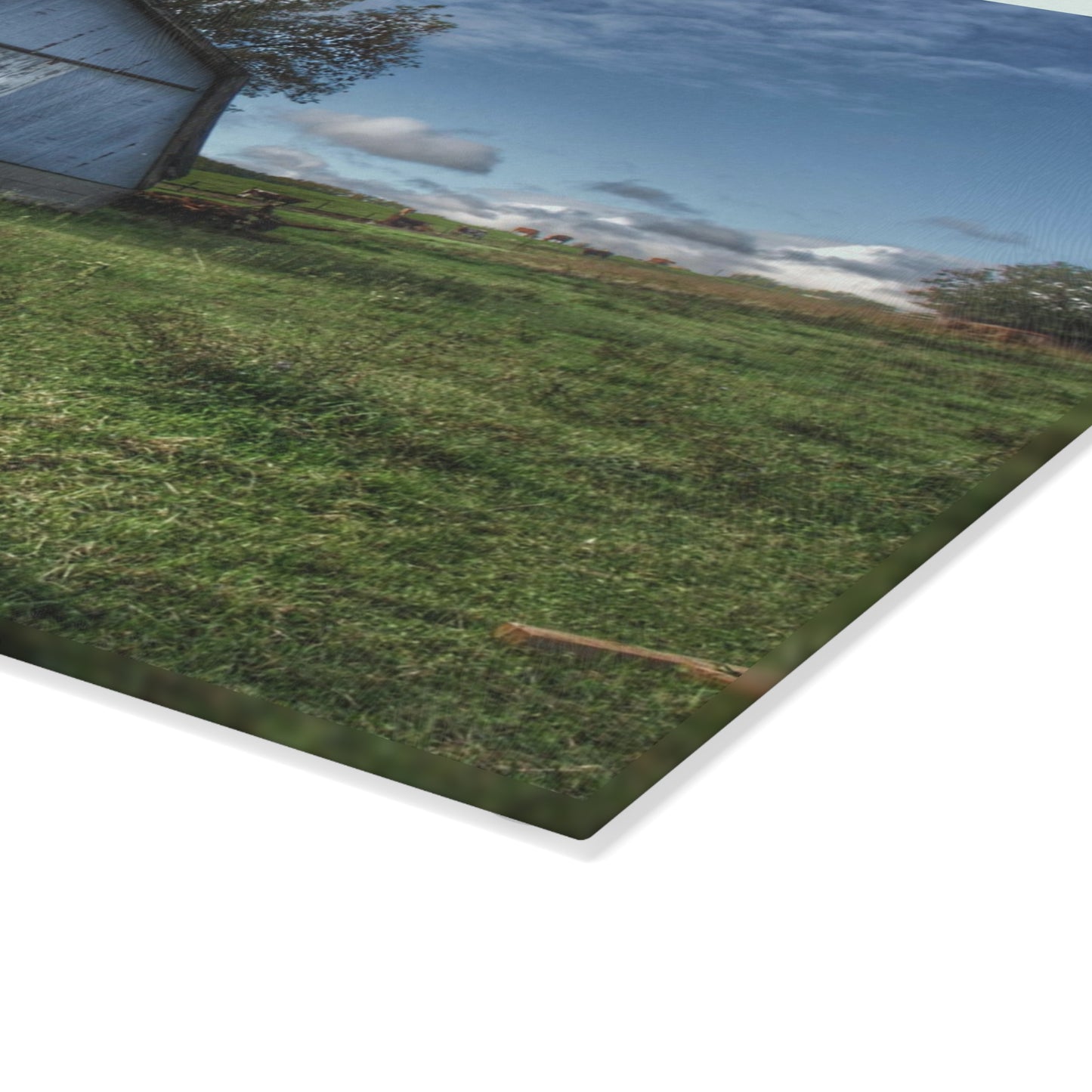 U R There Photography East Frances Quonset and Cows Rustic Farmhouse Tempered-Glass Cutting Board