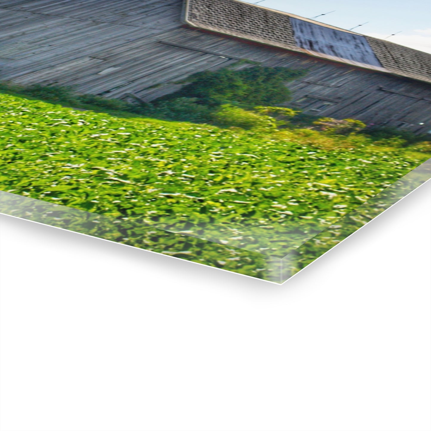 U R There Photography Morning Roadside Grey Rustic Farmhouse Acrylic Wall Print