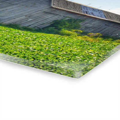 U R There Photography Morning Roadside Grey Rustic Farmhouse Acrylic Wall Print