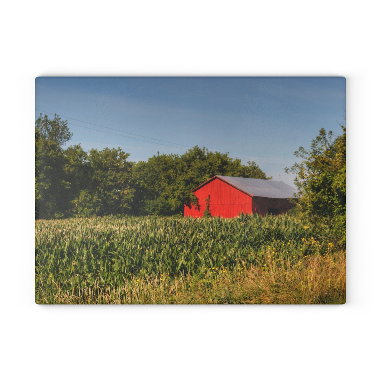 U R There Photography Willard Road Red II Rustic Farmhouse Tempered-Glass Cutting Board