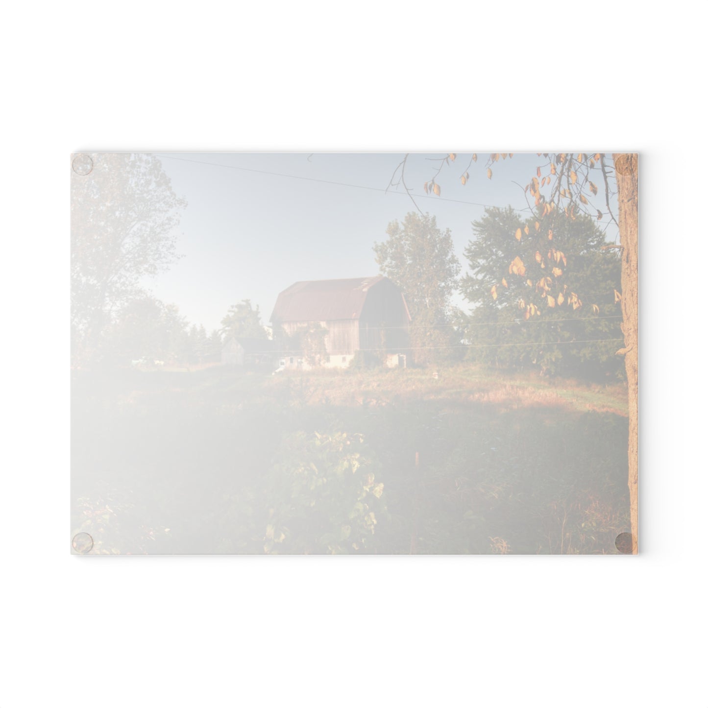 U R There Photography Swaffer Road Little Grey Rustic Farmhouse Tempered-Glass Cutting Board