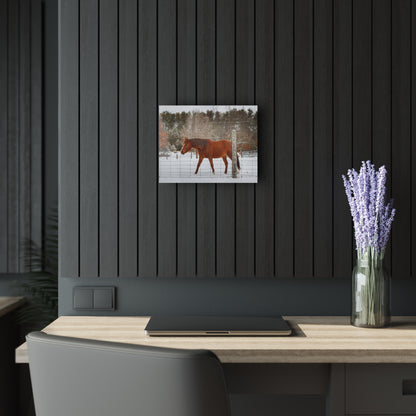 U R There Photography Roadside Chestnut Rustic Farmhouse Acrylic Wall Print