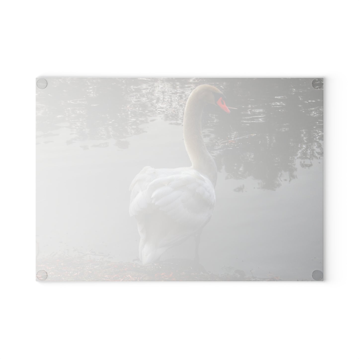 U R There Photography Swans of Duck Lake III Rustic Farmhouse Tempered-Glass Cutting Board