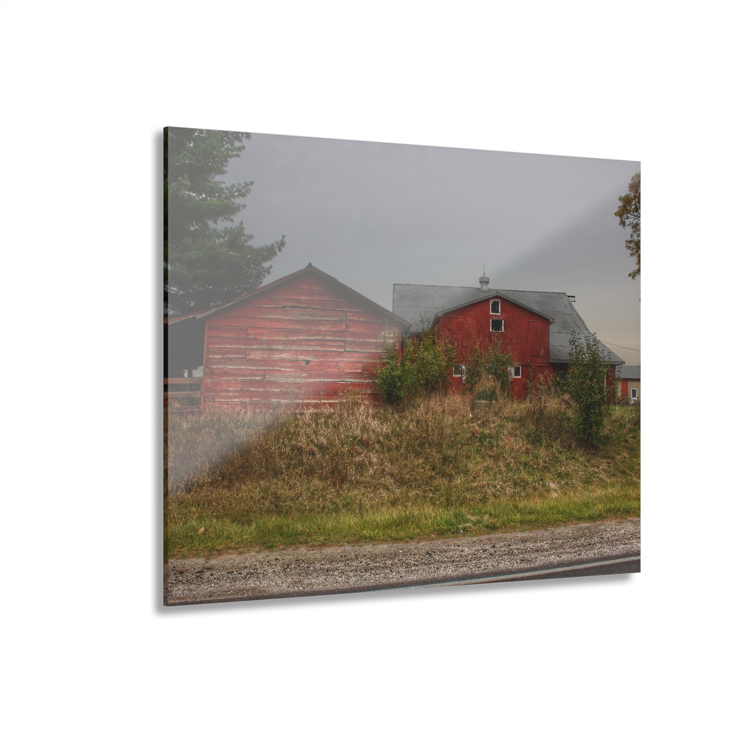 U R There Photography Goodrich Baldwin Road Reds I Rustic Farmhouse Acrylic Wall Print