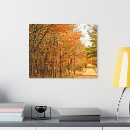 U R There Photography Fall on Murphy Lake II Rustic Farmhouse Acrylic Wall Print