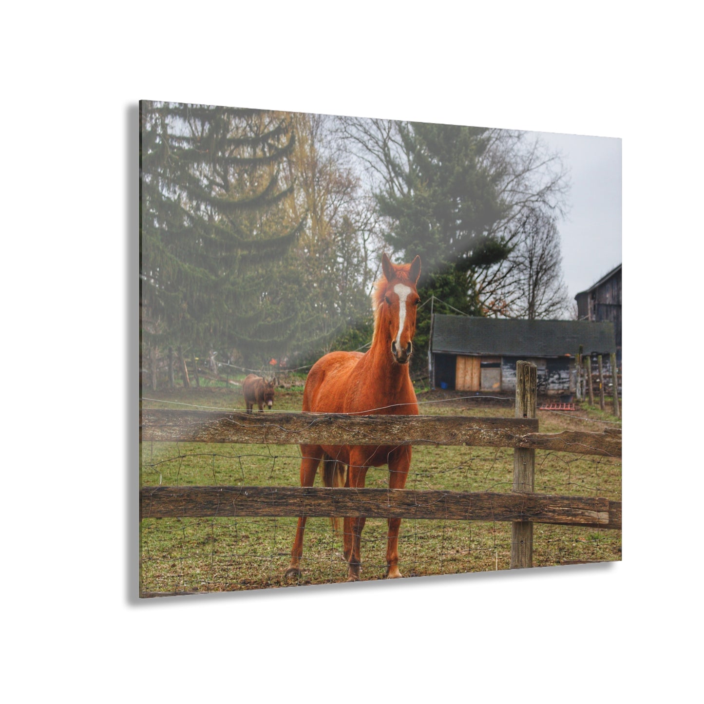 U R There Photography South Summers Road Old Grey and Caramel I Rustic Farmhouse Acrylic Wall Print