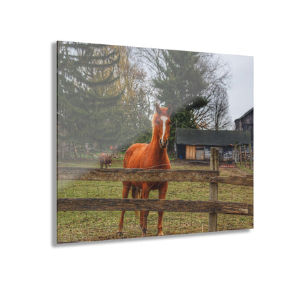 U R There Photography South Summers Road Old Grey and Caramel I Rustic Farmhouse Acrylic Wall Print