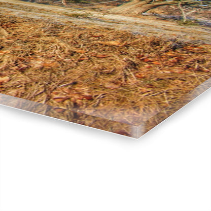 U R There Photography M-24 Barn at the Bend II Rustic Farmhouse Acrylic Wall Print