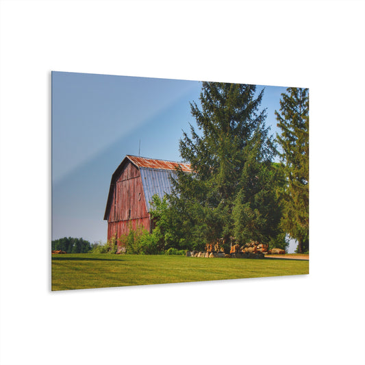 U R There Photography Mushroom Road Hidden Red Rustic Farmhouse Acrylic Wall Print