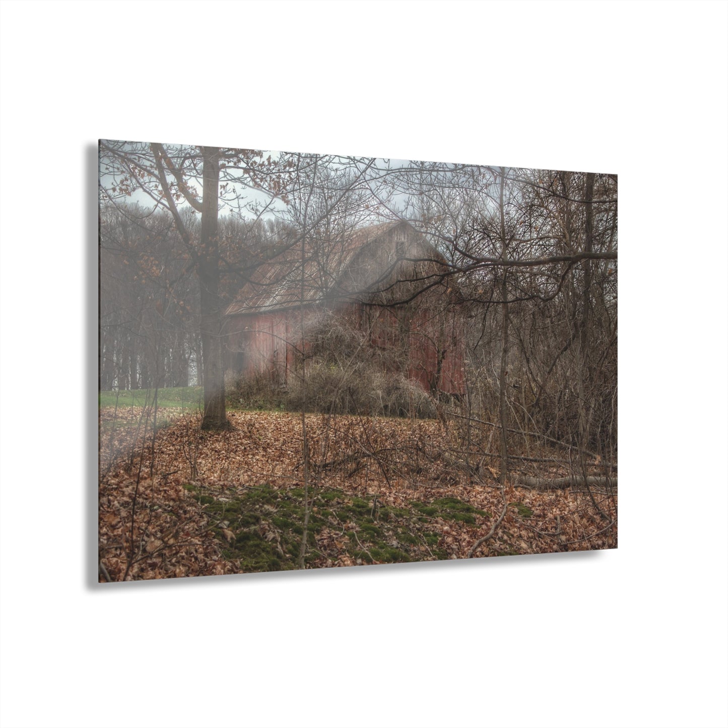 U R There Photography Mayville Hidden Barn II Rustic Farmhouse Acrylic Wall Print