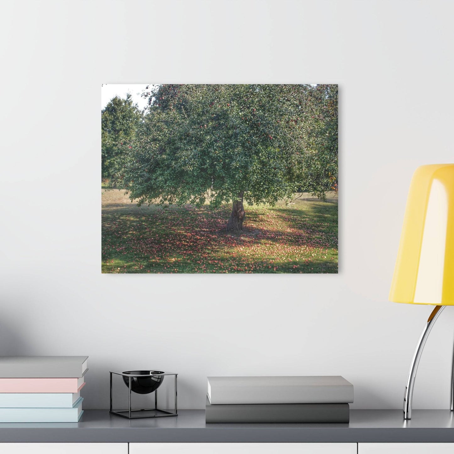 Barn Boutique Modern Farmhouse Acrylic Wall Print| Apple Tree and Apples