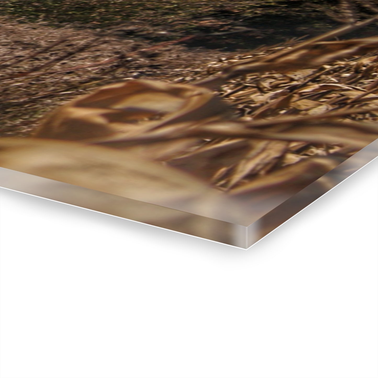 U R There Photography Fulmer Road Greys Rustic Farmhouse Acrylic Wall Print