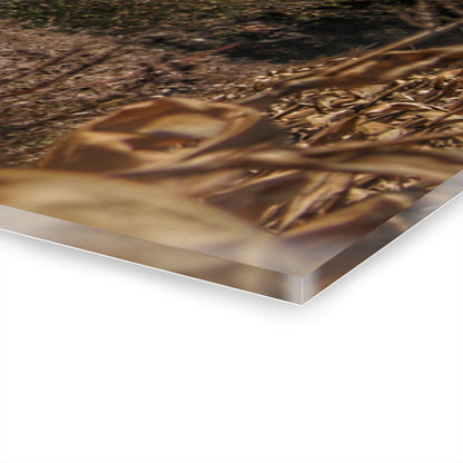 U R There Photography Fulmer Road Greys Rustic Farmhouse Acrylic Wall Print