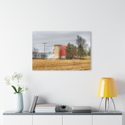 U R There Photography Laur Road Red Among the Pines I Rustic Farmhouse Acrylic Wall Print