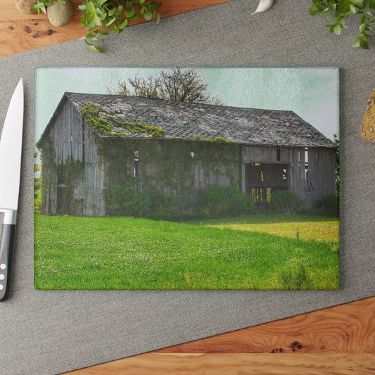 U R There Photography Caro Road Twin Grey II Rustic Farmhouse Tempered-Glass Cutting Board