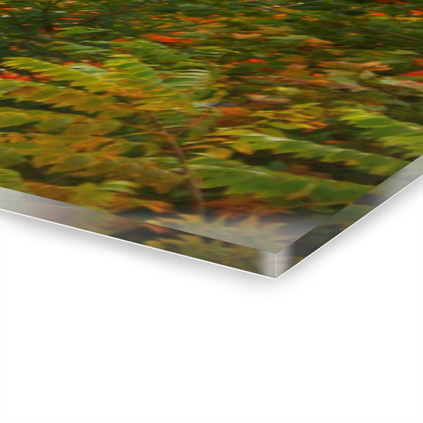 U R There Photography Farnsworth Road Red II Rustic Farmhouse Acrylic Wall Print