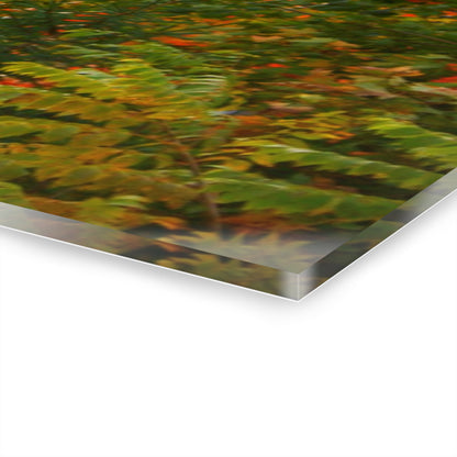 U R There Photography Farnsworth Road Red II Rustic Farmhouse Acrylic Wall Print