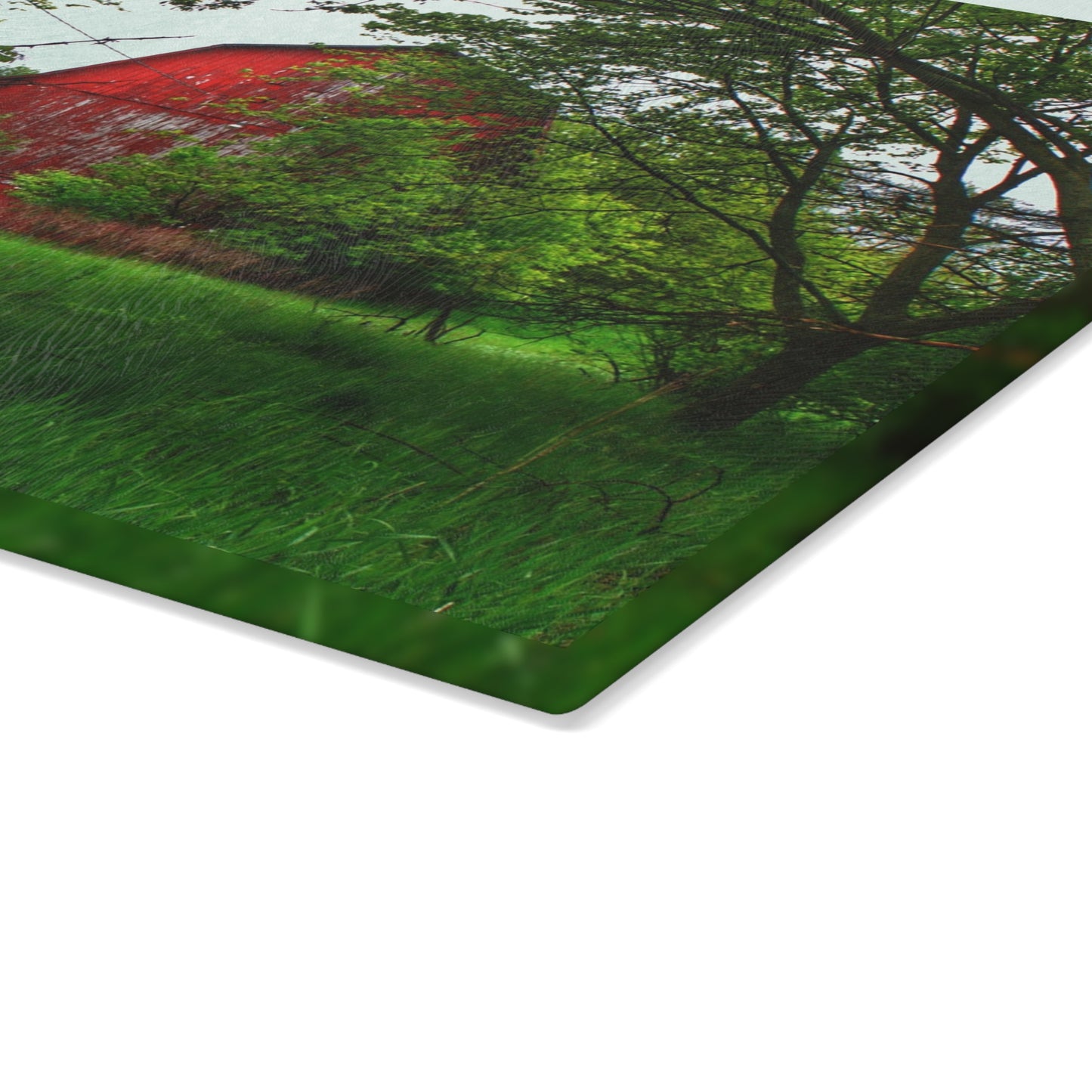 U R There Photography Bird Road Red Rustic Farmhouse Tempered-Glass Cutting Board