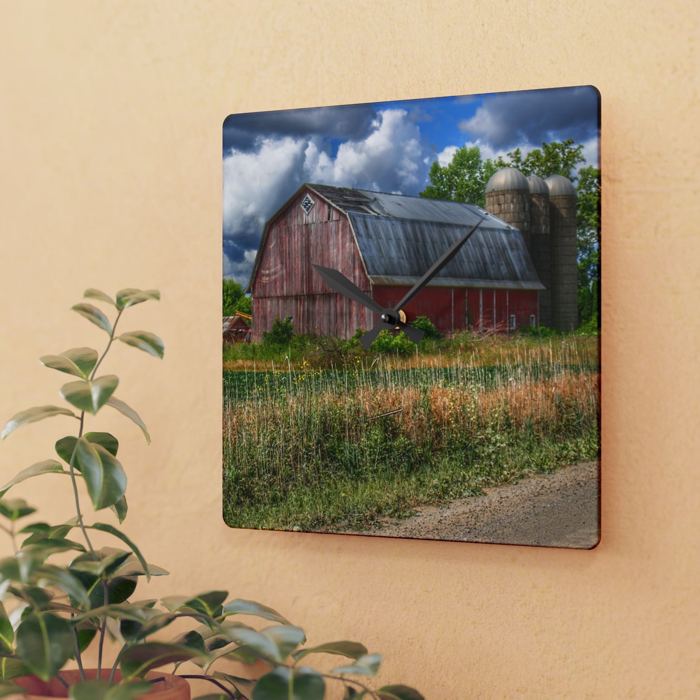 U R There Photography Shelby Red III Rustic Farmhouse Acrylic Analog Wall Clock