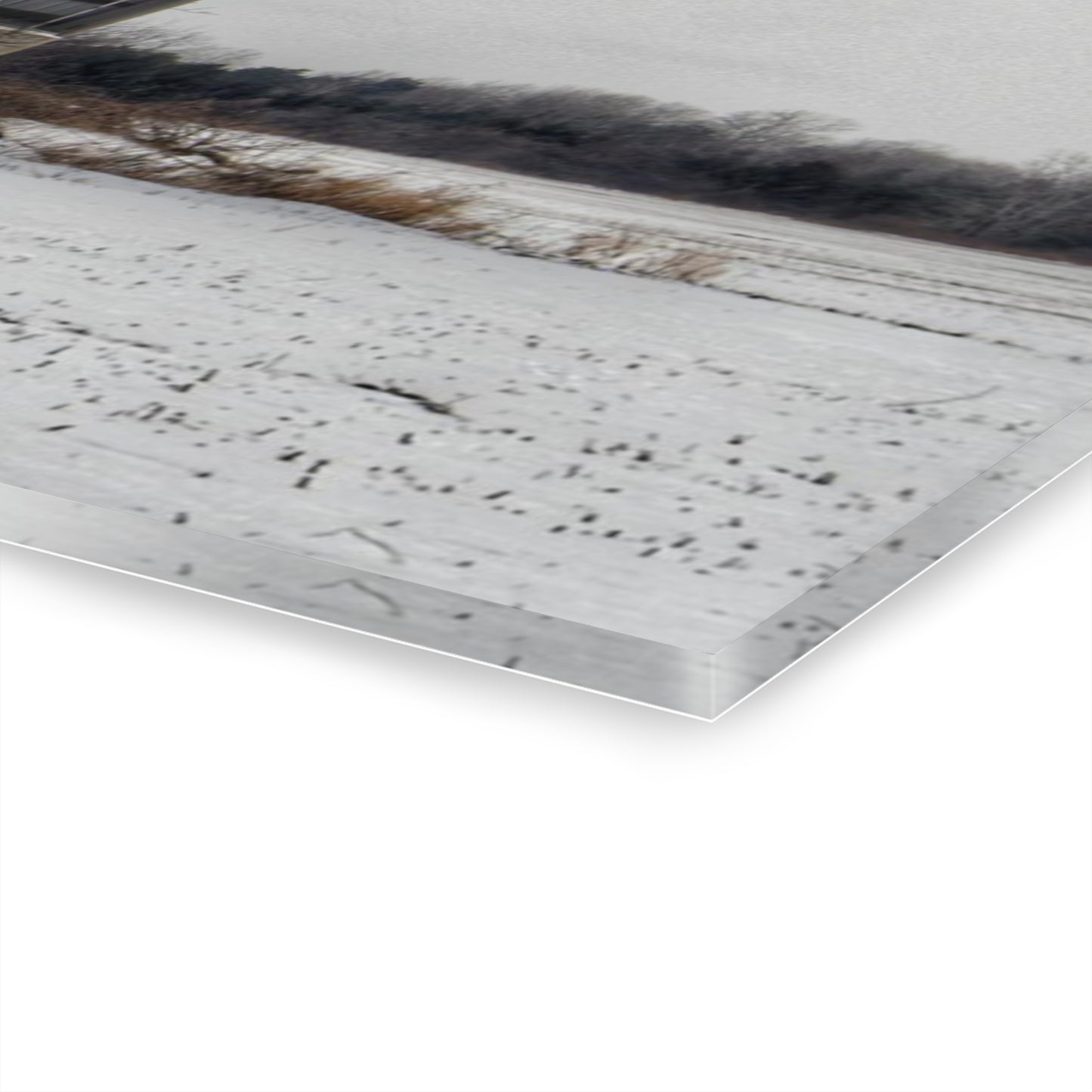 U R There Photography Babcock Road Grey Rustic Farmhouse Acrylic Wall Print