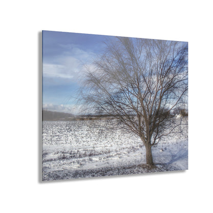U R There Photography Winter Farm Willow Tree Rustic Farmhouse Acrylic Wall Print