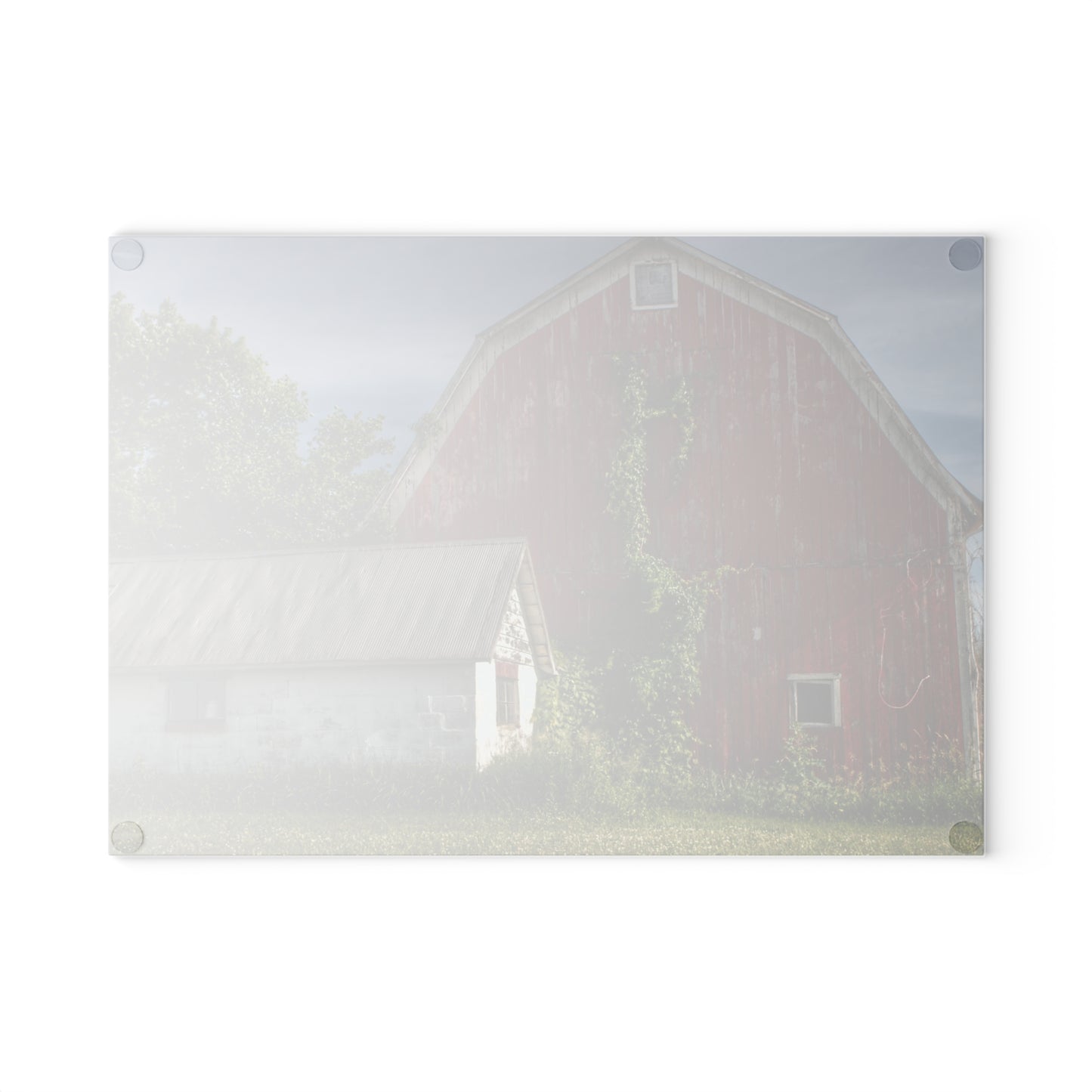 U R There Photography Stanley Road Red in Summer II Rustic Farmhouse Tempered-Glass Cutting Board