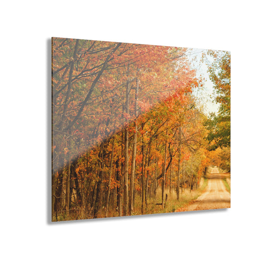 U R There Photography Fall on Murphy Lake II Rustic Farmhouse Acrylic Wall Print