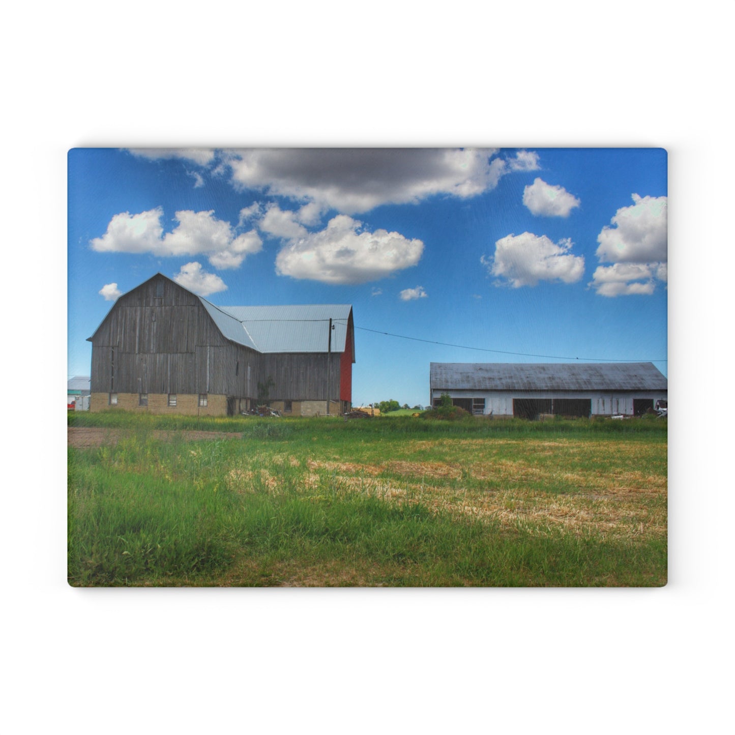 U R There Photography Cass City Elmwood Grey Rustic Farmhouse Tempered-Glass Cutting Board