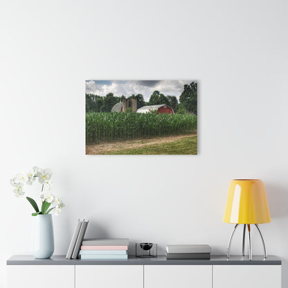 U R There Photography Scotch Settlement Reds Rustic Farmhouse Acrylic Wall Print
