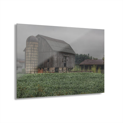 U R There Photography East Millington Road Grey and Stable Rustic Farmhouse Acrylic Wall Print
