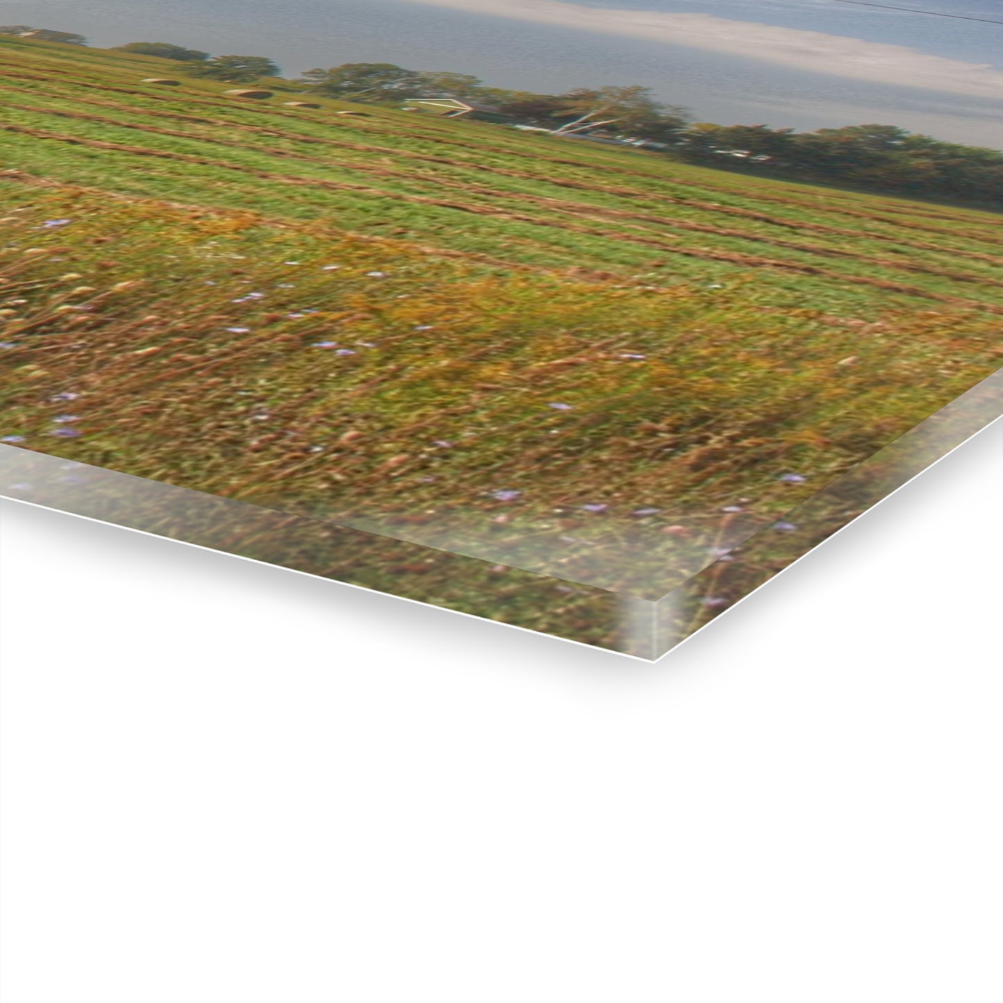 U R There Photography Farm Across the Field Rustic Farmhouse Acrylic Wall Print